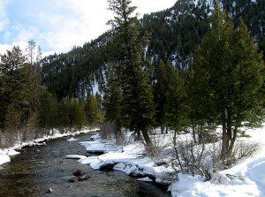 View from Cross County Trail